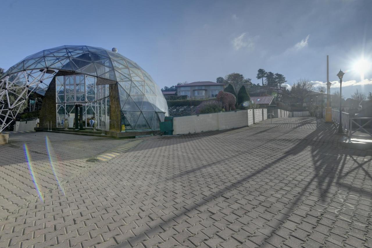 Tarika Resort&Spa - Chail Bagian luar foto